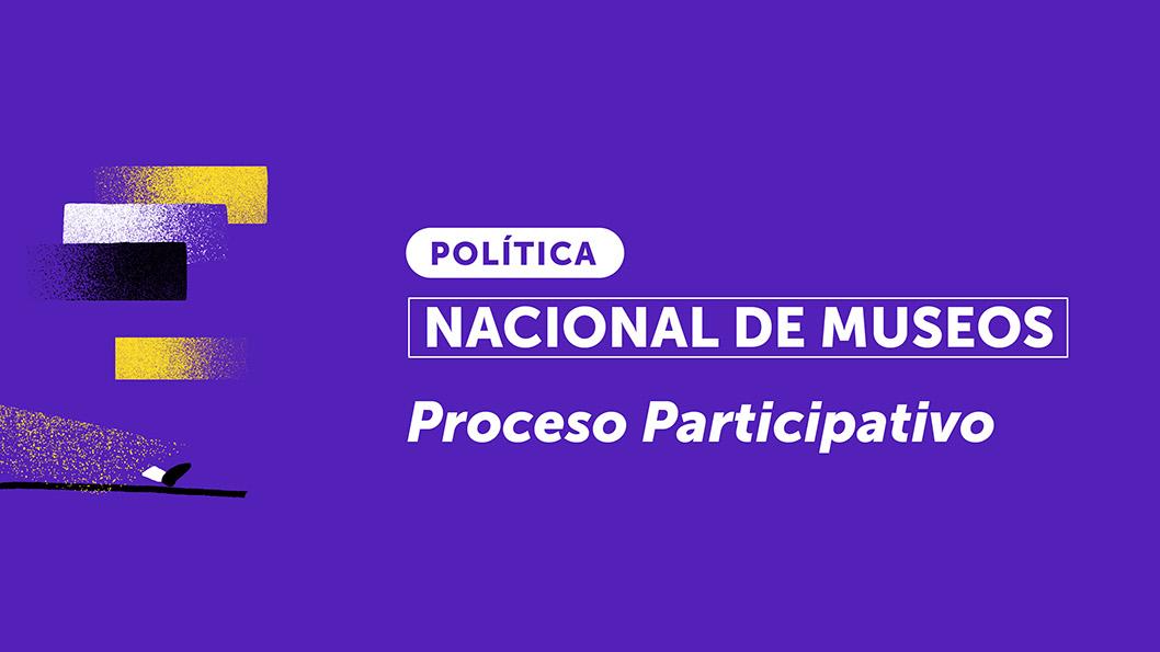 Gráfica proceso participativo PNM