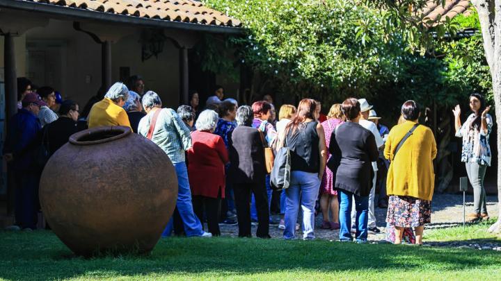 Fotografía panorámica en que se aprecia un grupo de adultos mayores de espalda a la cámara, rodeados de vegetación como un árbol de níspero, un jazmín español y césped. En primer plano se ubica una tinaja de greda (jarrón grande) completando la escena.  