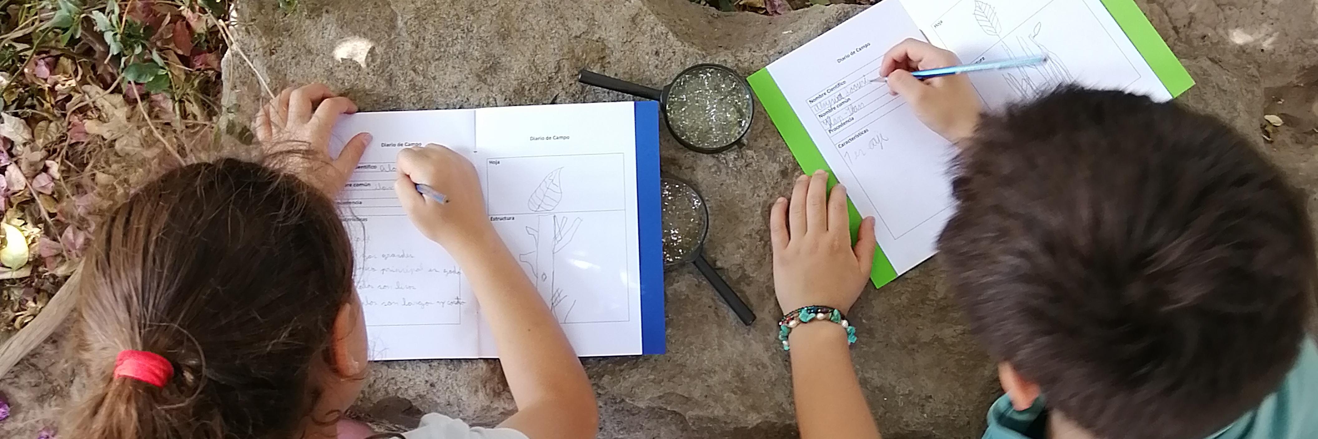 Imagen ilustra el boceto de un niño y una niña que estas escribiendo en un cuadernillo. De fondo se observan piedras grises, tierra y hojas que son parte de una enredadera verde.
