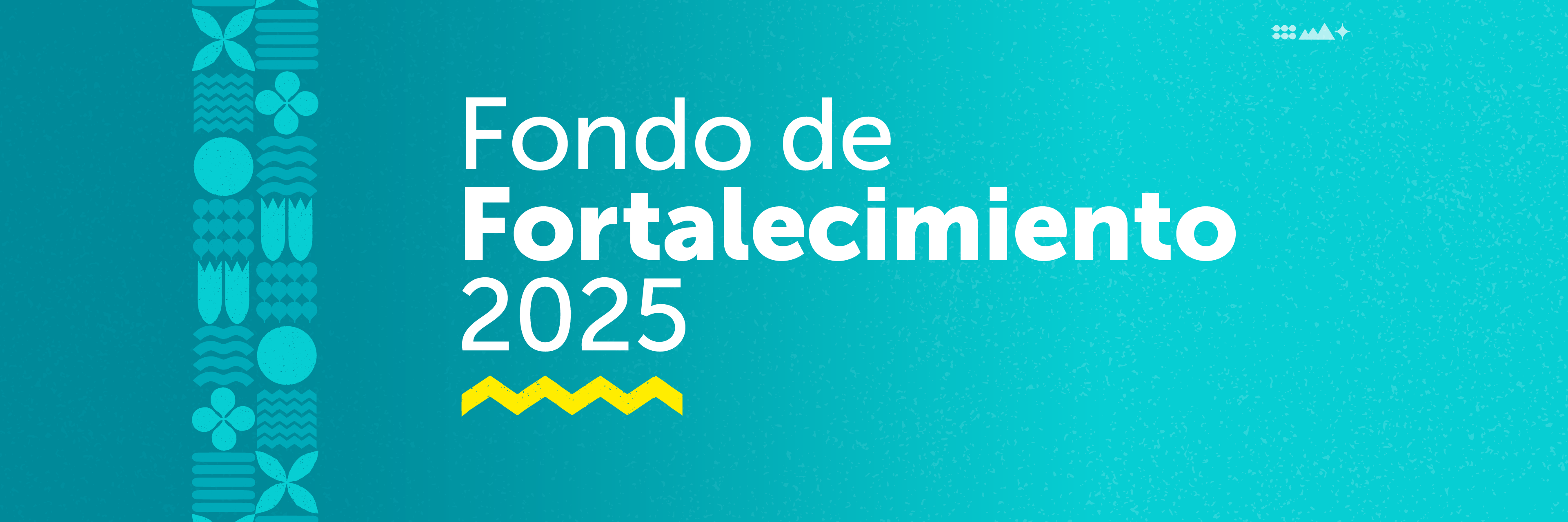 FFOP 2025