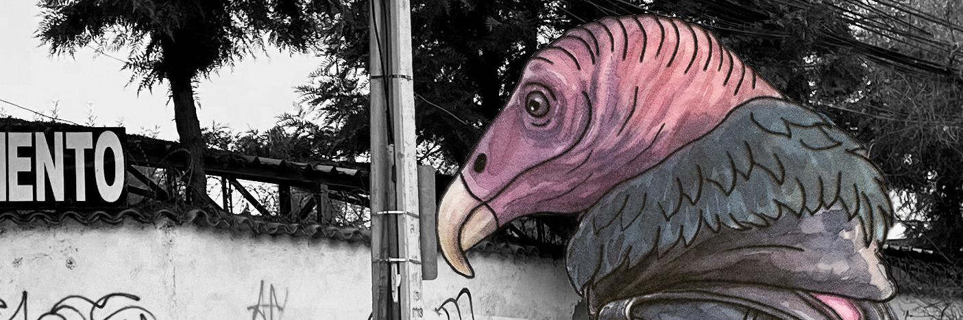invitación tiempos rapaces