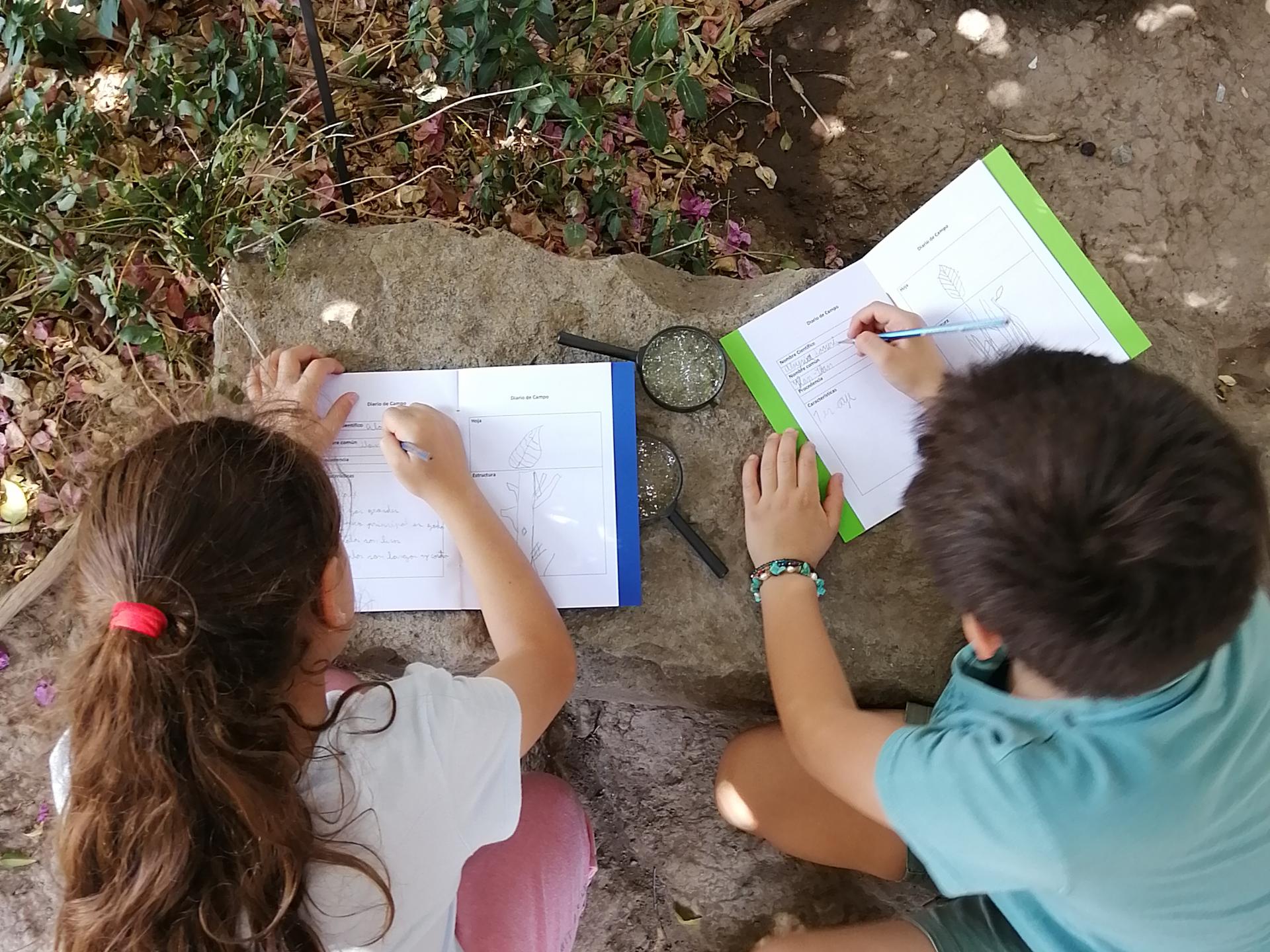 Imagen ilustra el boceto de un niño y una niña que estas escribiendo en un cuadernillo. De fondo se observan piedras grises, tierra y hojas que son parte de una enredadera verde.