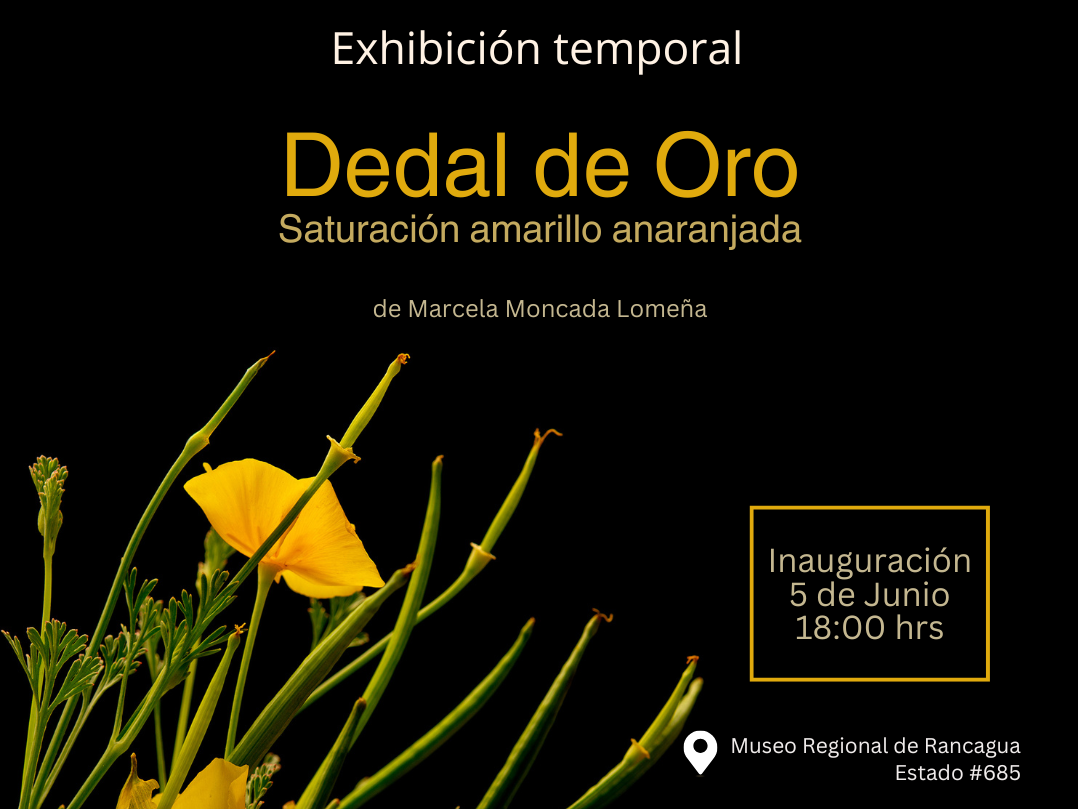 sobre fondo negro flores amarillas de la variedad dedal de oro. Letrereo Exhibición temporal dedal de oro. Inauguración 5 de Junio 18:00 hrs