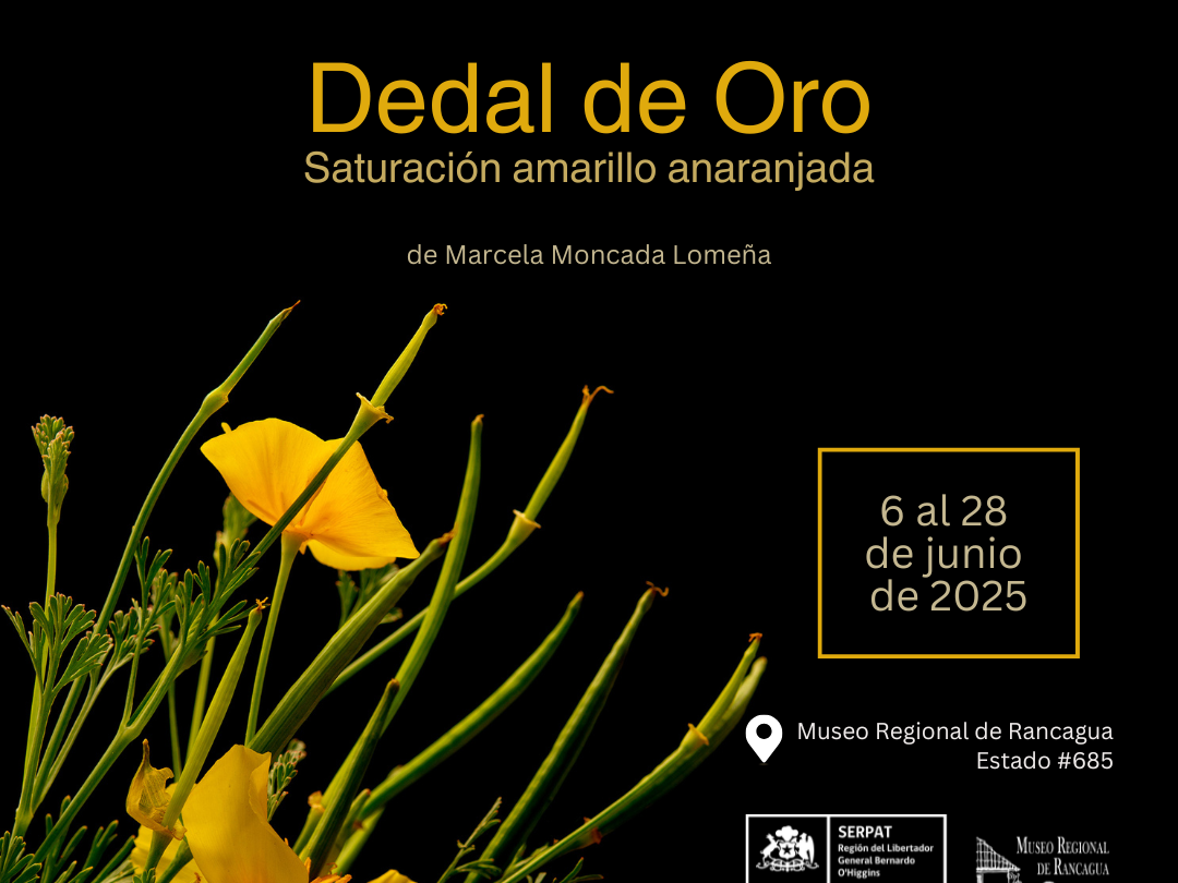 DEDAL DE oRO, SATURACIÓN AMARILLO ANARANJADA