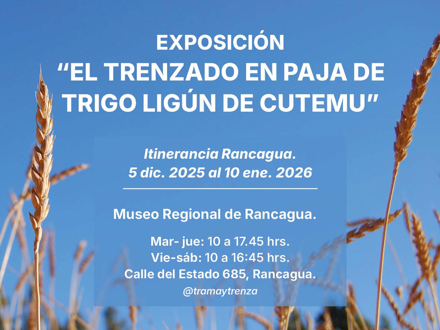 Foto de espigas de trigo y fondo de cielo azul con texto Exposición: El trenzado en paja de trigo ligún de cutemu"