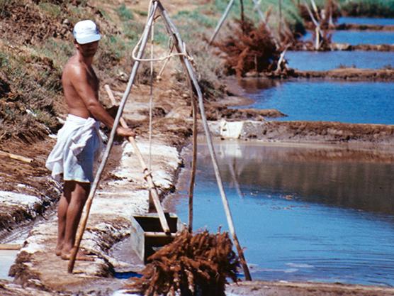 Uso de mateador en trípode