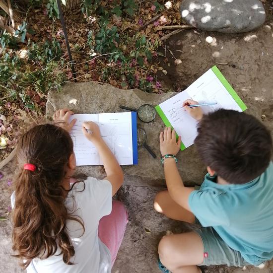 Imagen ilustra el boceto de un niño y una niña que estas escribiendo en un cuadernillo. De fondo se observan piedras grises, tierra y hojas que son parte de una enredadera verde.