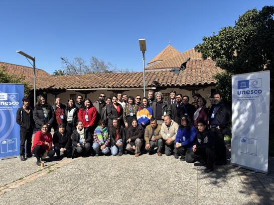 Comité Mow Chile