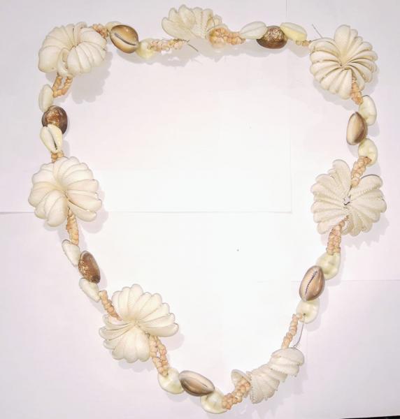 Collar de Conchitas Collar de Conchitas