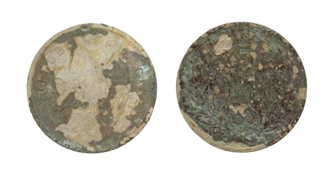 Pieza completa, de forma circular y de color gris plateado cubierta por una pátina de color marrón oscuro purpurado